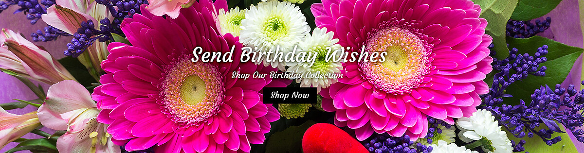Birthday